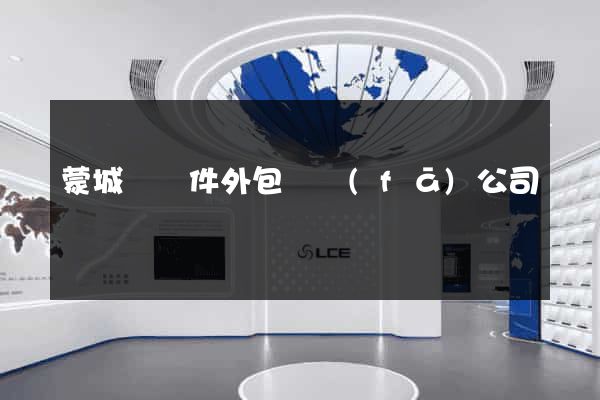 蒙城縣軟件外包開發(fā)公司