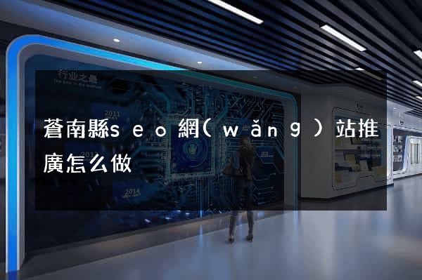 蒼南縣seo網(wǎng)站推廣怎么做