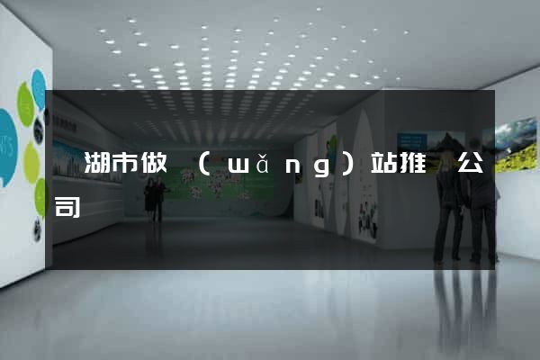 蕪湖市做網(wǎng)站推廣公司