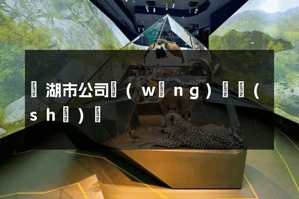 蕪湖市公司網(wǎng)頁設(shè)計