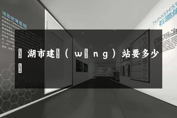 蕪湖市建網(wǎng)站要多少錢