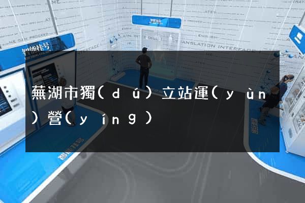 蕪湖市獨(dú)立站運(yùn)營(yíng)