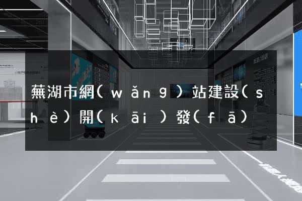 蕪湖市網(wǎng)站建設(shè)開(kāi)發(fā)
