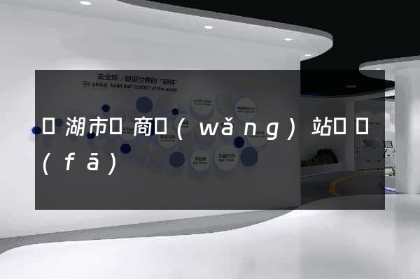 蕪湖市電商網(wǎng)站開發(fā)