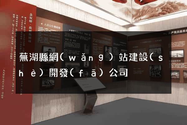 蕪湖縣網(wǎng)站建設(shè)開發(fā)公司