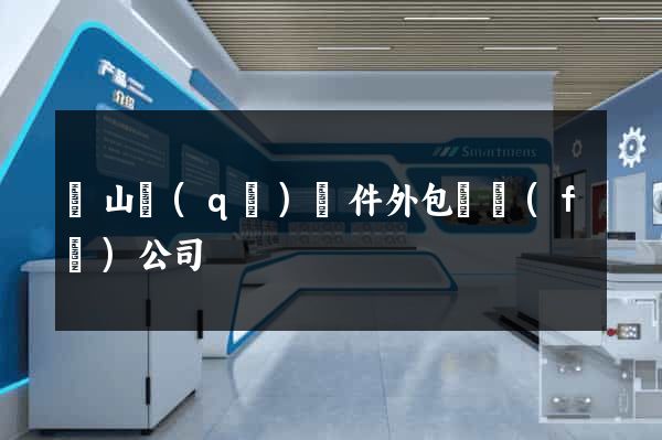 蕭山區(qū)軟件外包開發(fā)公司
