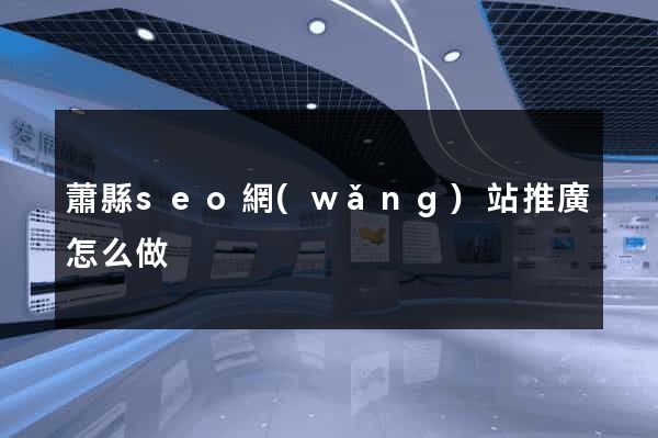 蕭縣seo網(wǎng)站推廣怎么做