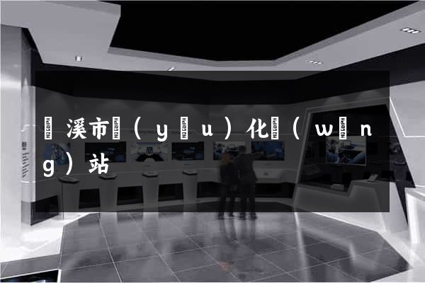 蘭溪市優(yōu)化網(wǎng)站