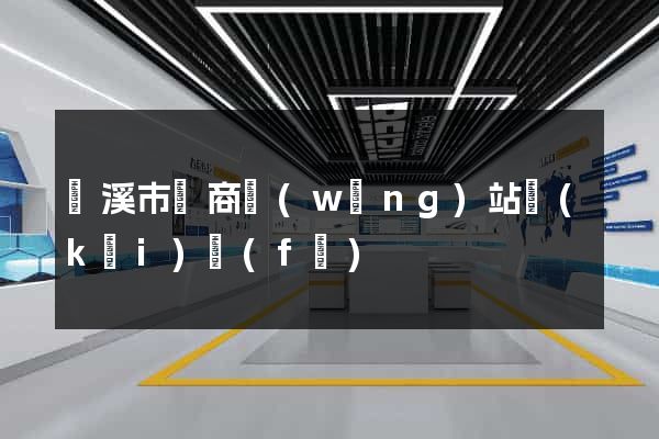 蘭溪市電商網(wǎng)站開(kāi)發(fā)
