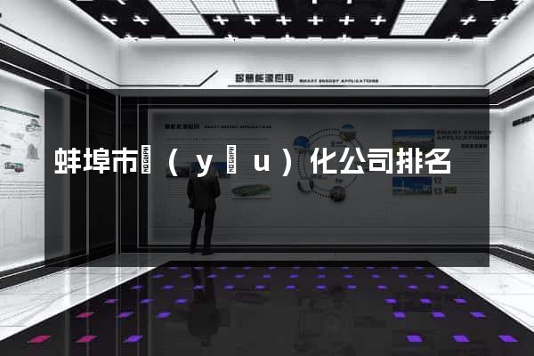 蚌埠市優(yōu)化公司排名