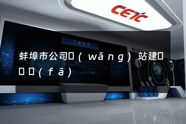 蚌埠市公司網(wǎng)站建設開發(fā)