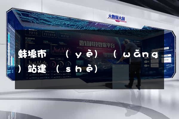 蚌埠市專業(yè)網(wǎng)站建設(shè)