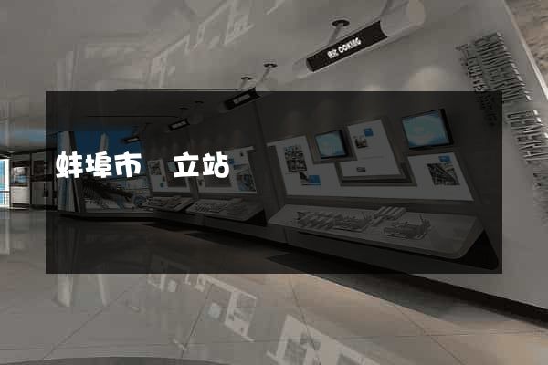 蚌埠市獨立站運營