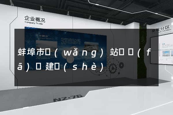 蚌埠市網(wǎng)站開發(fā)與建設(shè)