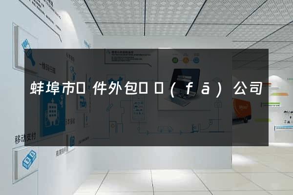 蚌埠市軟件外包開發(fā)公司