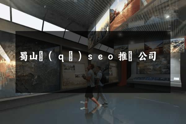 蜀山區(qū)seo推廣公司