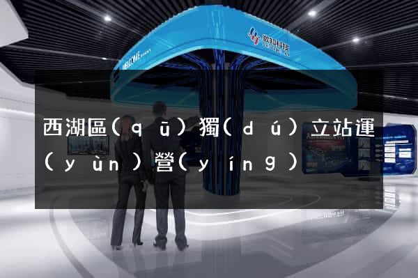 西湖區(qū)獨(dú)立站運(yùn)營(yíng)
