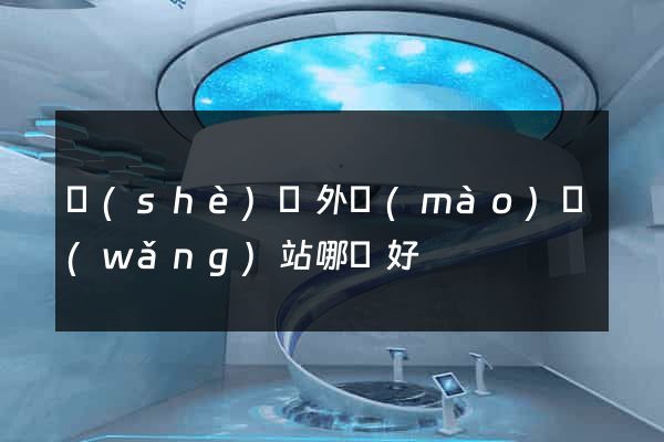 設(shè)計外貿(mào)網(wǎng)站哪個好