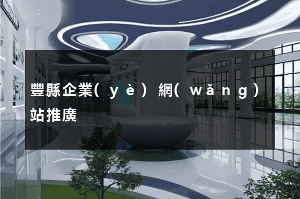 豐縣企業(yè)網(wǎng)站推廣