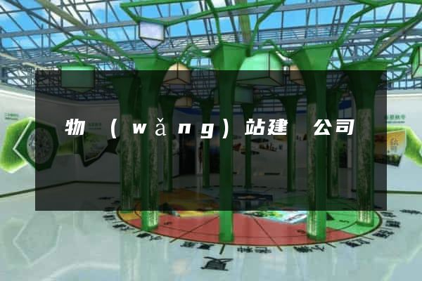 購物網(wǎng)站建設公司