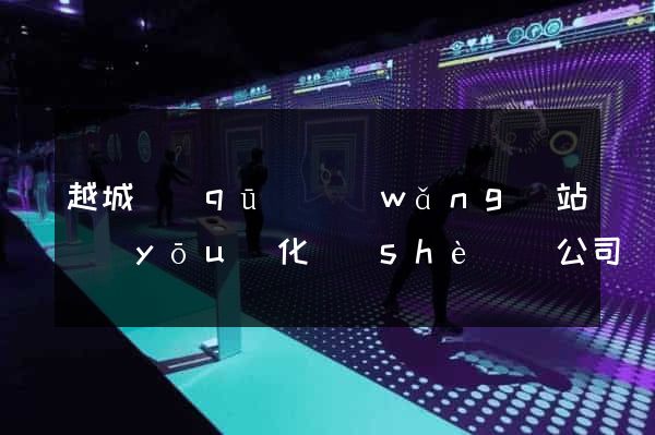 越城區(qū)網(wǎng)站優(yōu)化設(shè)計公司(網(wǎng)站設(shè)計優(yōu)化專家)