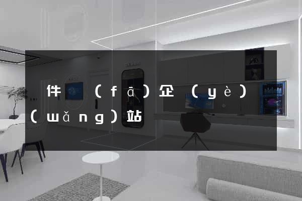 軟件開發(fā)企業(yè)網(wǎng)站