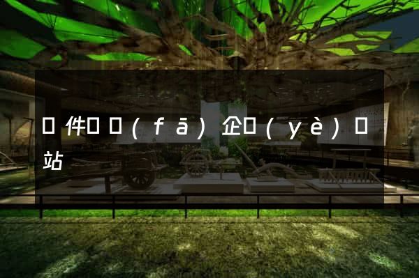 軟件開發(fā)企業(yè)網站