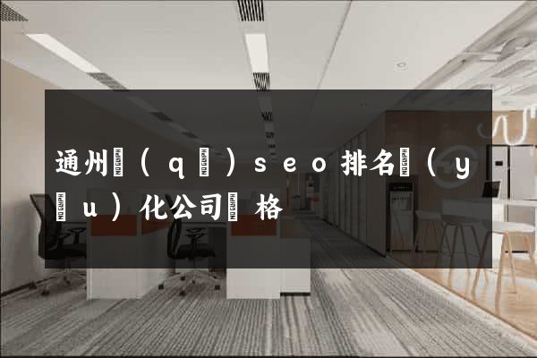 通州區(qū)seo排名優(yōu)化公司價格