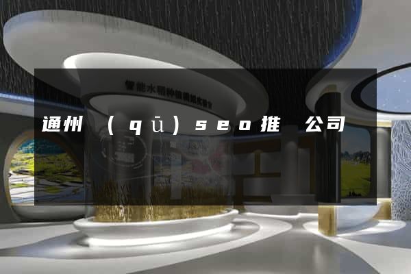 通州區(qū)seo推廣公司