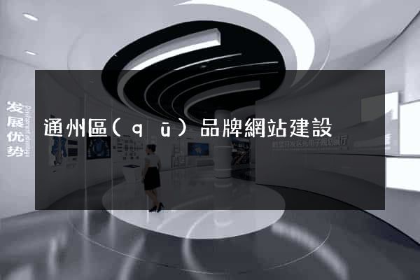 通州區(qū)品牌網站建設