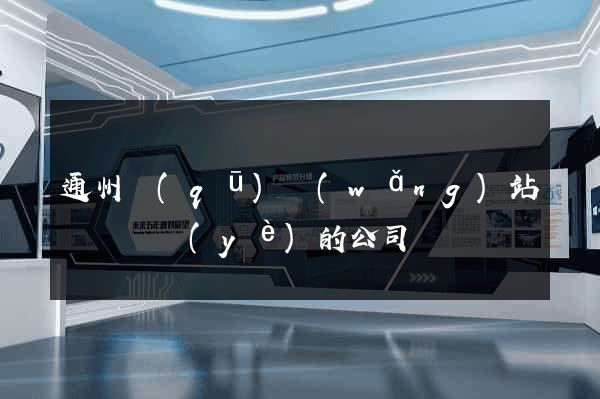 通州區(qū)網(wǎng)站設計專業(yè)的公司