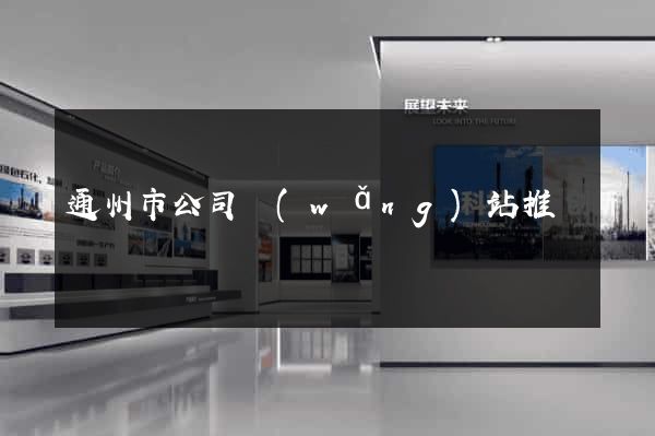 通州市公司網(wǎng)站推廣