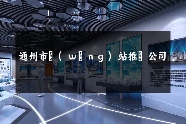 通州市網(wǎng)站推廣公司
