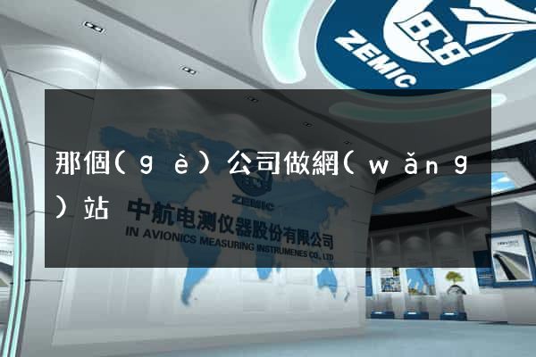 那個(gè)公司做網(wǎng)站