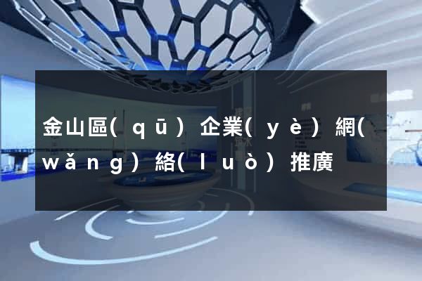 金山區(qū)企業(yè)網(wǎng)絡(luò)推廣