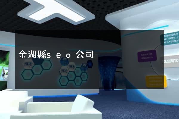 金湖縣seo公司