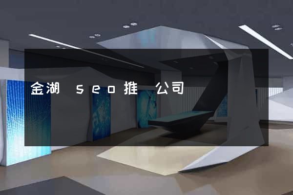 金湖縣seo推廣公司