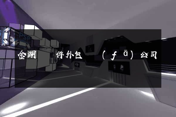 金湖縣軟件外包開發(fā)公司