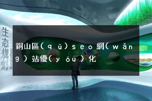 銅山區(qū)seo網(wǎng)站優(yōu)化