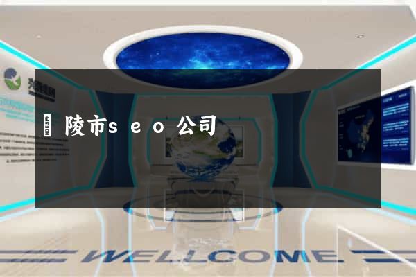 銅陵市seo公司