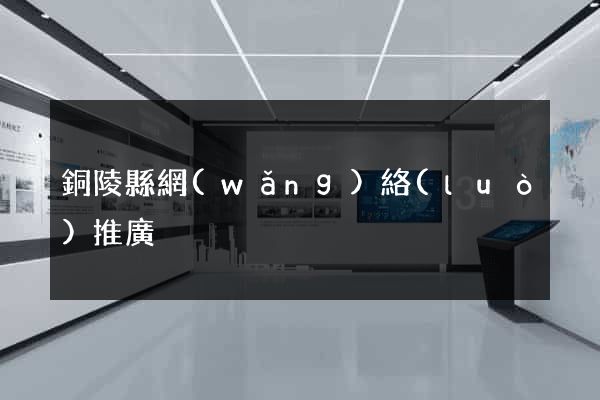 銅陵縣網(wǎng)絡(luò)推廣