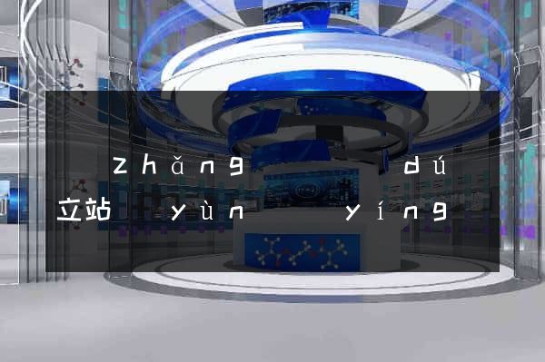長(zhǎng)豐縣獨(dú)立站運(yùn)營(yíng)