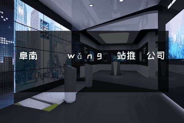 阜南縣網(wǎng)站推廣公司