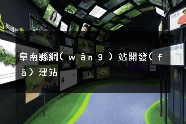 阜南縣網(wǎng)站開發(fā)建站
