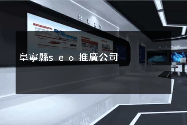 阜寧縣seo推廣公司