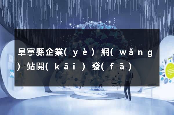 阜寧縣企業(yè)網(wǎng)站開(kāi)發(fā)