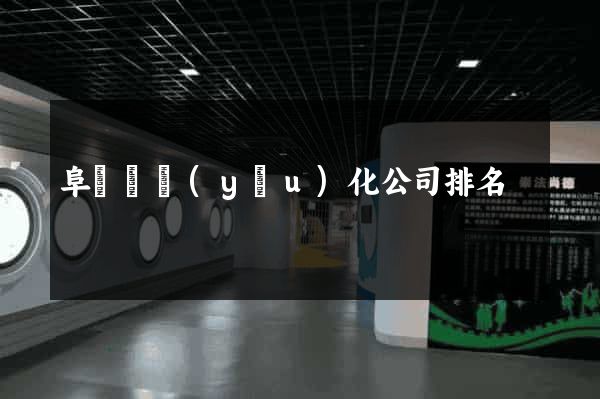 阜寧縣優(yōu)化公司排名