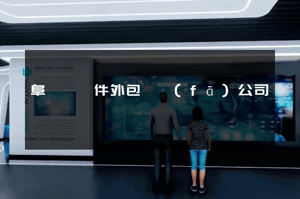 阜寧縣軟件外包開發(fā)公司