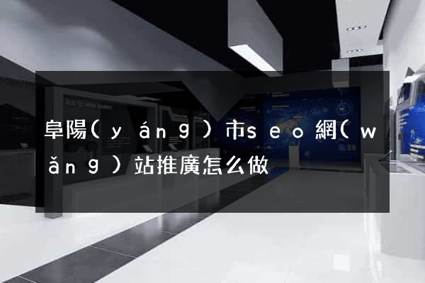 阜陽(yáng)市seo網(wǎng)站推廣怎么做