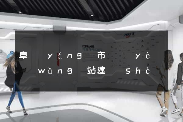 阜陽(yáng)市專業(yè)網(wǎng)站建設(shè)